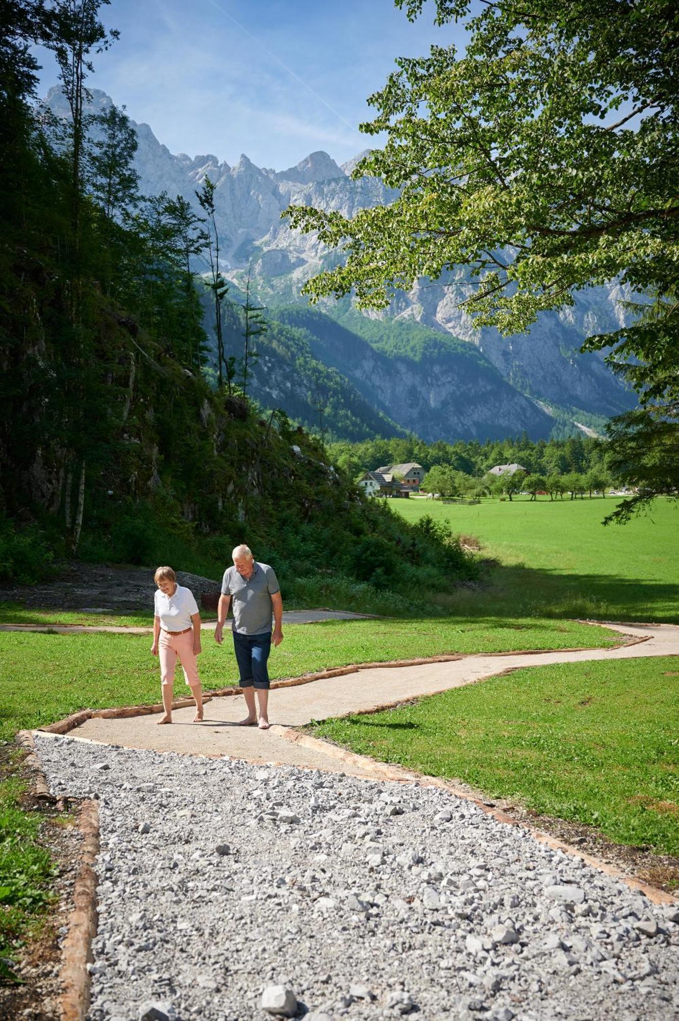 Hotel Plesnik Logarska Dolina Solčava Екстериор снимка