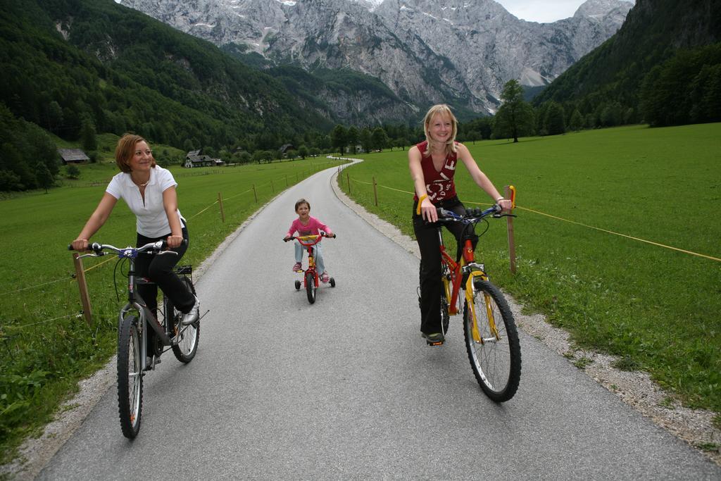 Hotel Plesnik Logarska Dolina Solčava Екстериор снимка